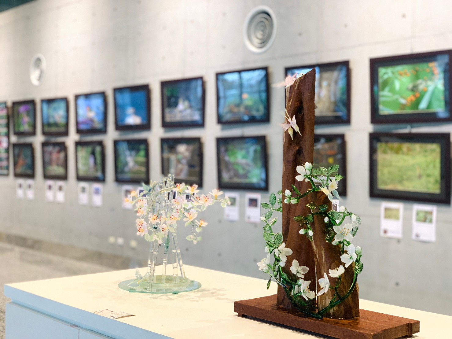 【瞬影．永恆】聯展-玉兔迎春_百花齊放_竹玻會員聯展