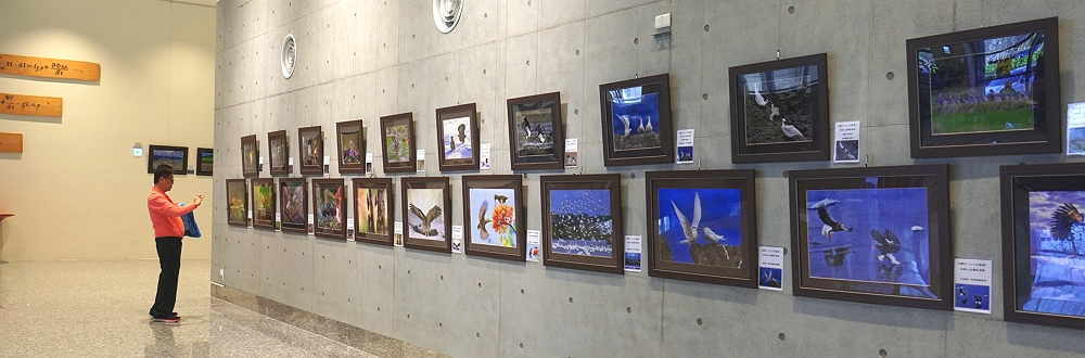 2025 王國衍教練 斜槓人生攝影個展